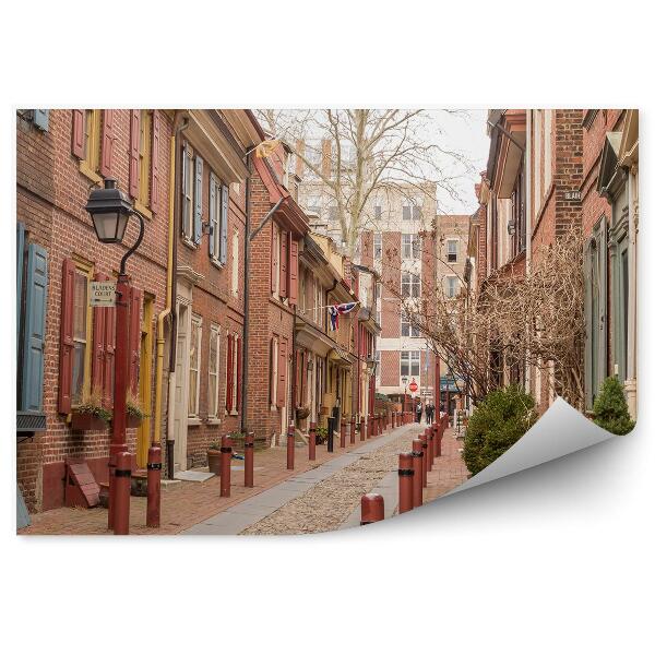 Okleina na ścianę Budynki alejki drzewa