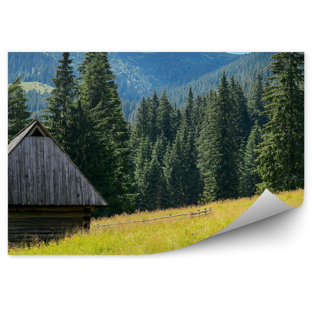 Okleina na ścianę mała wioski domek drzewa iglaste góry zieleń niebo chmury