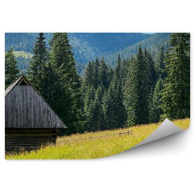 Okleina na ścianę mała wioski domek drzewa iglaste góry zieleń niebo chmury