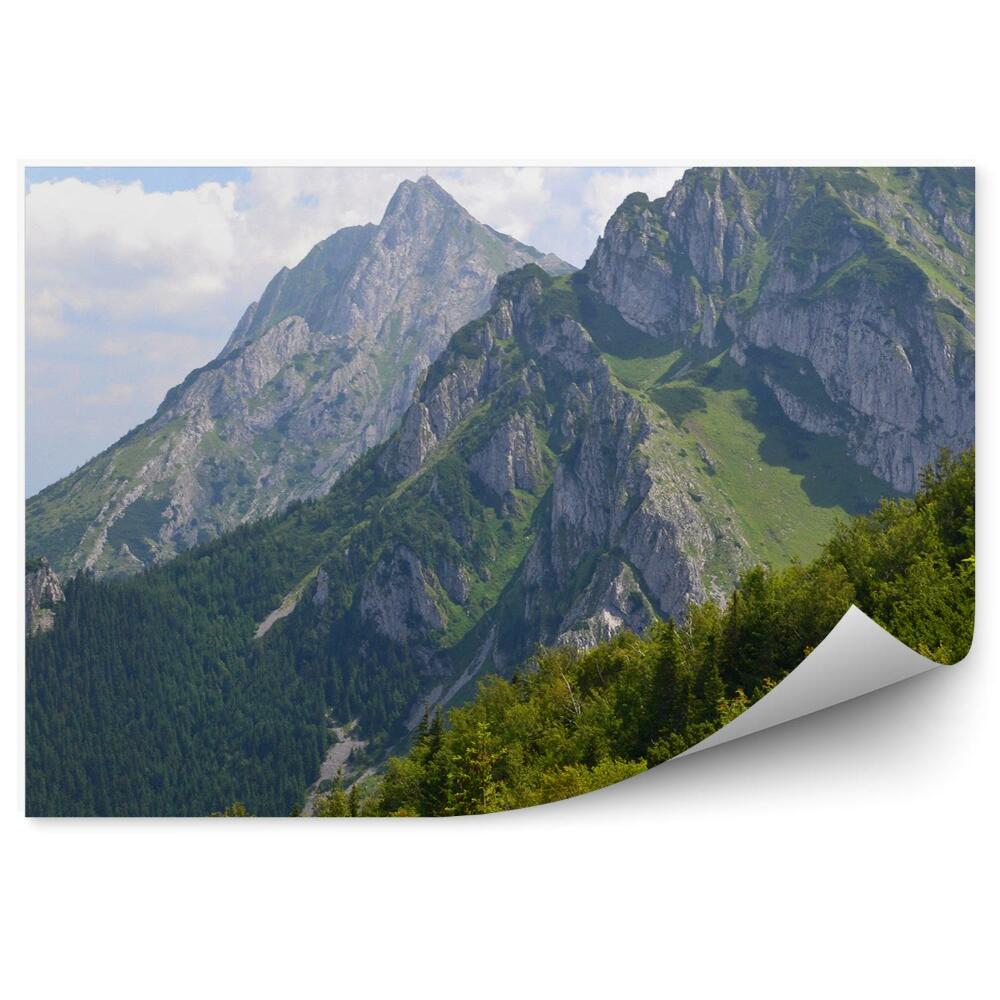 Okleina na ścianę Widok na giewont tatry drzewa niebo chmury