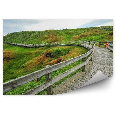 Fototapeta samoprzylepna Drewniany pomost zielone pola trawa