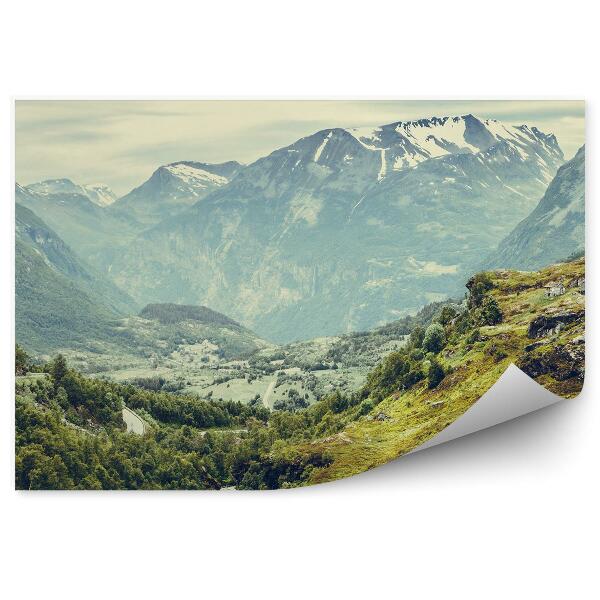 Okleina ścienna Krajobraz gór natura śnieg