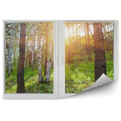 Fototapeta Drzewa brzozy las wzgórze widok zza okna