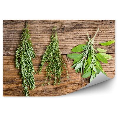 Okleina na ścianę Rozmaryn tymianek szałwia świeże zioła gałązki