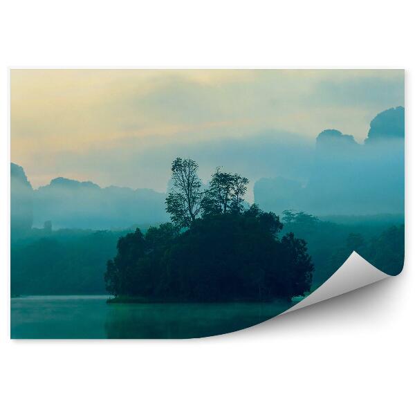 Fototapeta Drzewa rośliny jezioro niebo zachód słońca