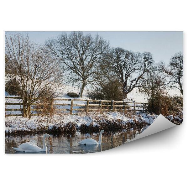 Okleina ścienna Łabędzie na stawie wśród zmarzniętej przyrody