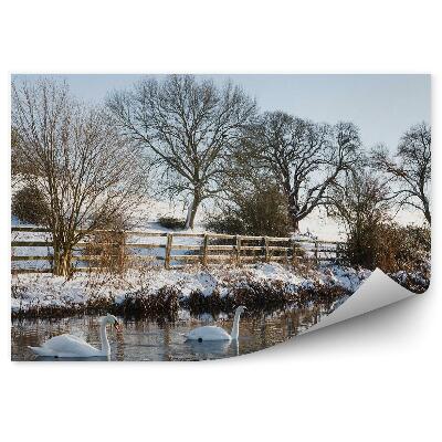 Okleina ścienna Łabędzie na stawie wśród zmarzniętej przyrody