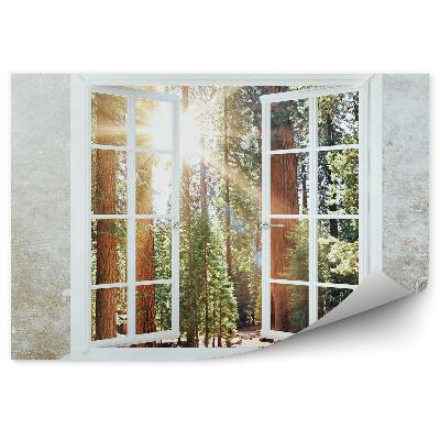 Fototapeta Ściana okno widok las słońce