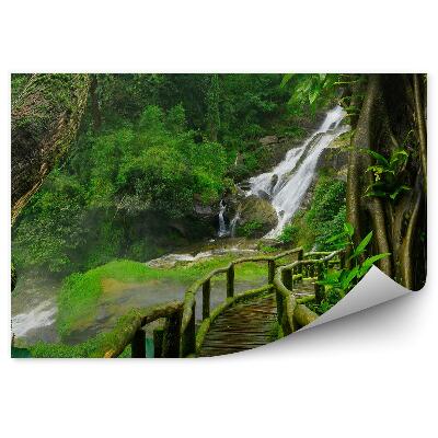 Okleina ścienna Tajlandia wodospad most mech rośliny