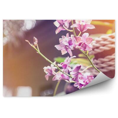 Fototapeta na ścianę Różowe kwiaty orchidei drzewo sznury