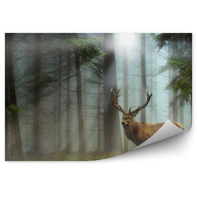Okleina ścienna Jeleń las iglasty trawa