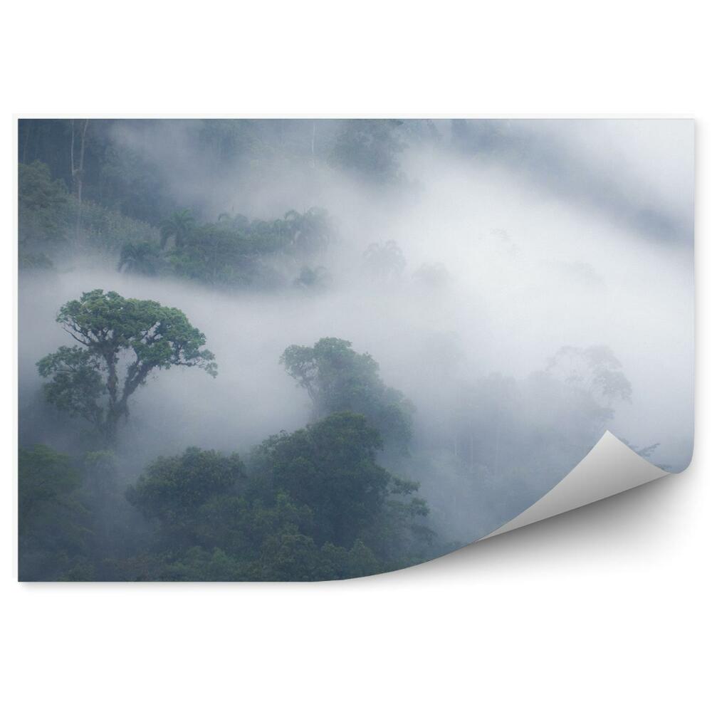 Okleina ścienna Mgła las drzewa