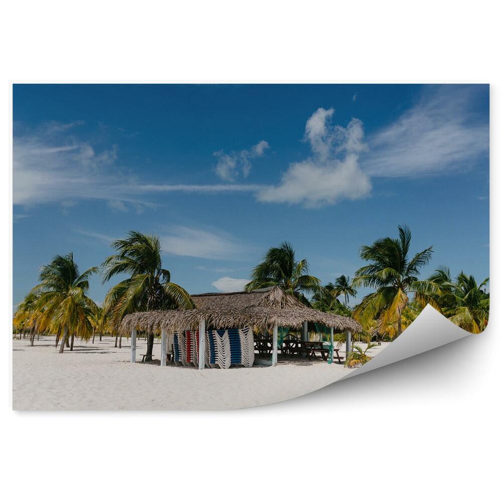 Fototapeta na ścianę palmy Morze Karaibskie chatka niebo chmury plaża niebo chmury