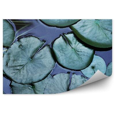 Okleina ścienna Lilia liść woda