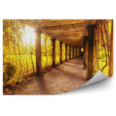 Fototapeta Piękny jesienny park