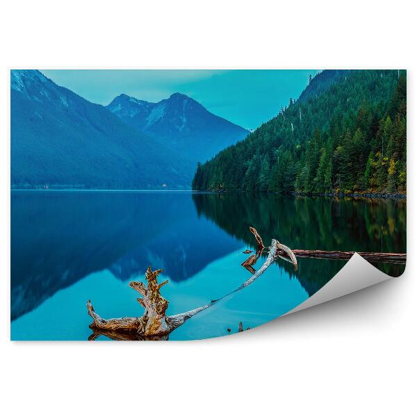 Fototapeta na ścianę Jezioro w Chilliwack kłoda