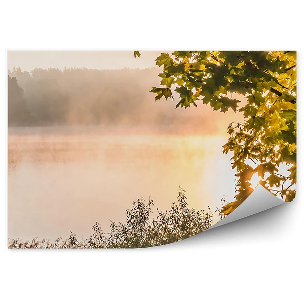 Fototapeta na ścianę Park jezioro drzewo liście zielone trawy