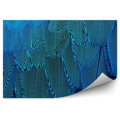 Okleina ścienna Tekstura z niebieskich piór papugi