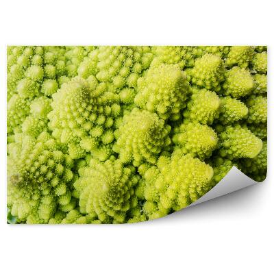 Okleina ścienna Zielony kalafior