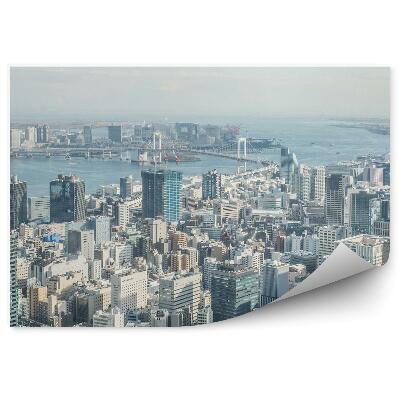 Okleina na ścianę widok z lotu ptaka Tokio Japonia