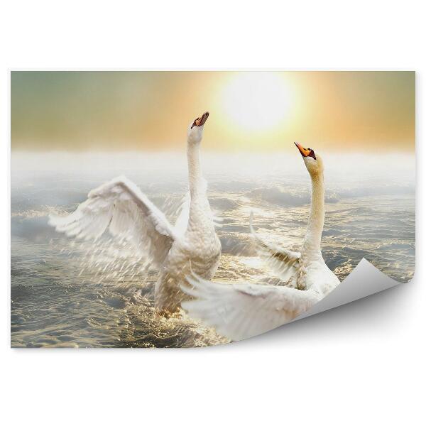 Okleina ścienna Tańczące łabędzie na falach