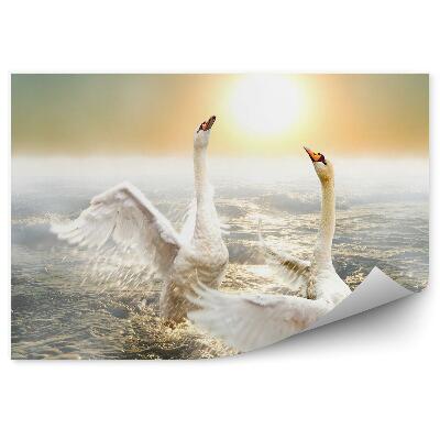 Okleina ścienna Tańczące łabędzie na falach