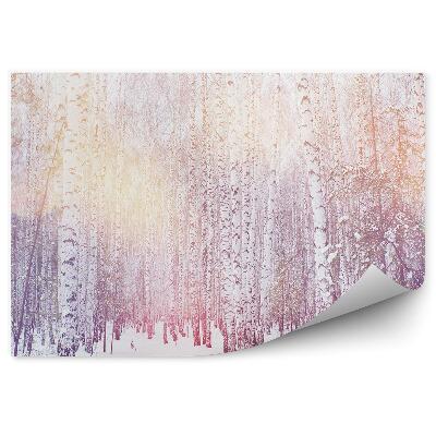 Okleina ścienna Światło blask słońce zimowe śnieg las drzewa