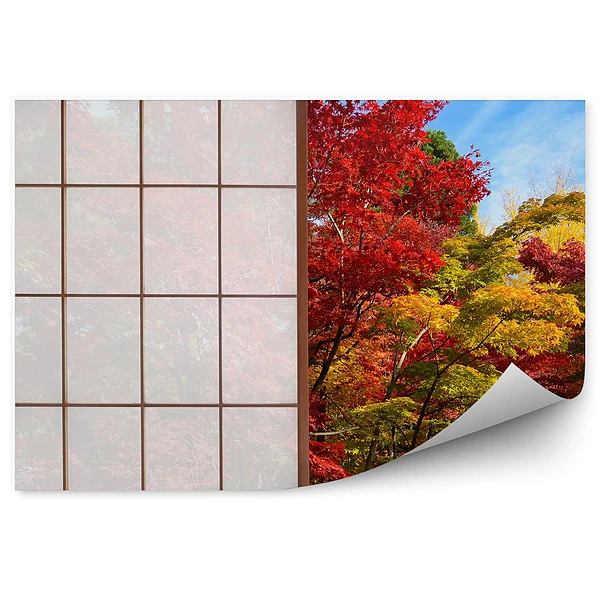 Fototapeta Kolorowy las okno japonia