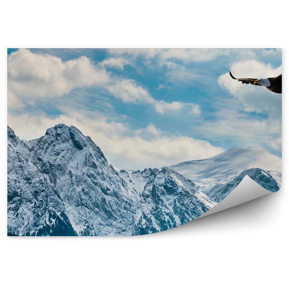 Fototapeta Zimy śnieg góry tatry wysokie niebo chmury orzeł ptaki