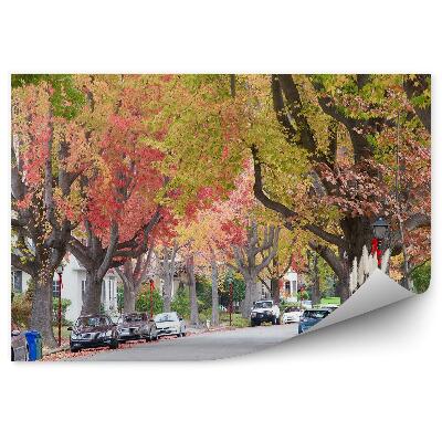 Fototapeta na ścianę Wysokie kolorowe jesienne drzewa ulica auta miasto