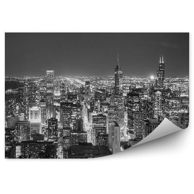 Fototapeta na ścianę sepia widok z lotu ptaka centrum Chicago wieżowce ocean