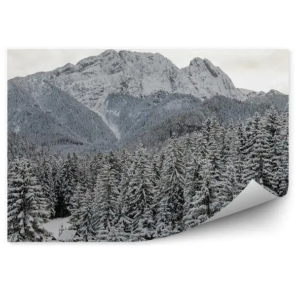 Okleina na ścianę Giewont drzewa iglaste zima śnieg niebo chmury tatry