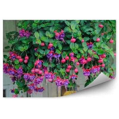 Fototapeta na ścianę Różowo fioletowe kwiaty fuksji liście okna ściana cegła