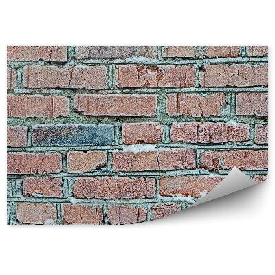 Fototapeta samoprzylepna Zamrożony ceglany mur