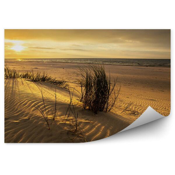Fototapeta na ścianę Wydmy trawa blask słońca woda