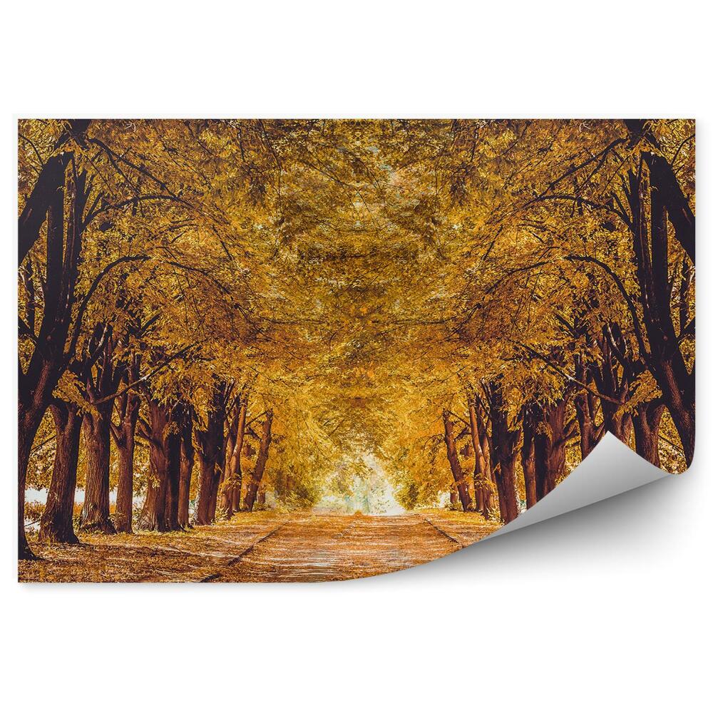 Okleina na ścianę Drzewa las alejka