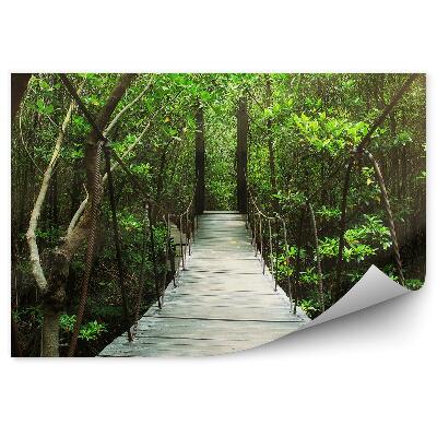Okleina na ścianę Zielony las latem światło padające na wiszący most