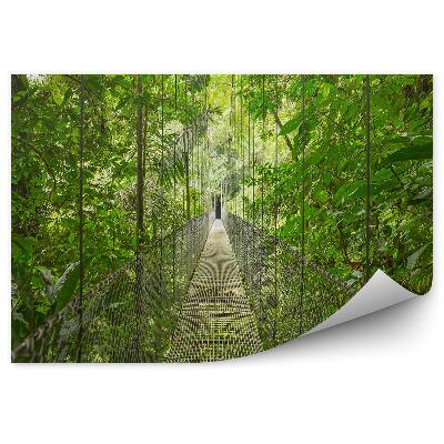 Okleina na ścianę Lasy deszczowe wiszący most ścieżka