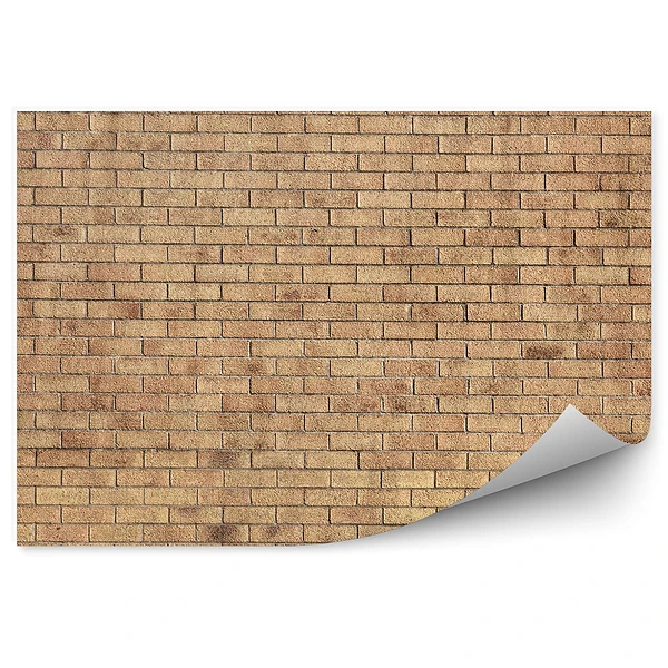 Fototapeta samoprzylepna Żółty mur