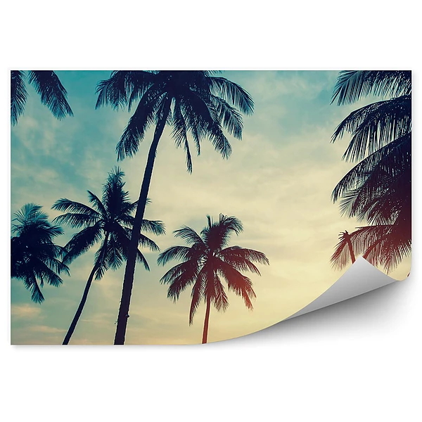 Fototapeta na ścianę Sylwetki palm na tle zachodu słońca