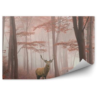 Okleina ścienna Jeleń mgła jesienny las