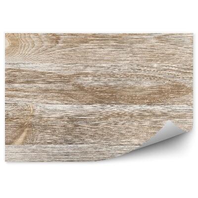 Fototapeta samoprzylepna Tekstura drewna ze słojami