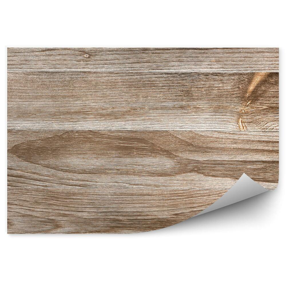 Fototapeta samoprzylepna Tekstura drewna ze słojami