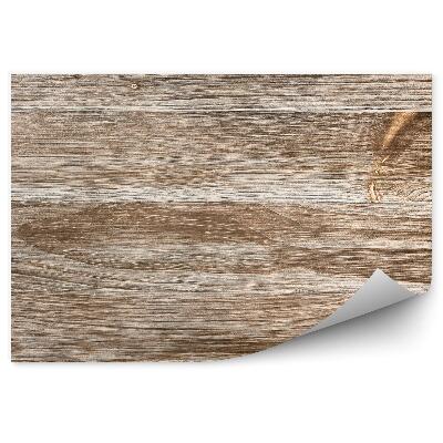 Fototapeta samoprzylepna Tekstura drewna ze słojami