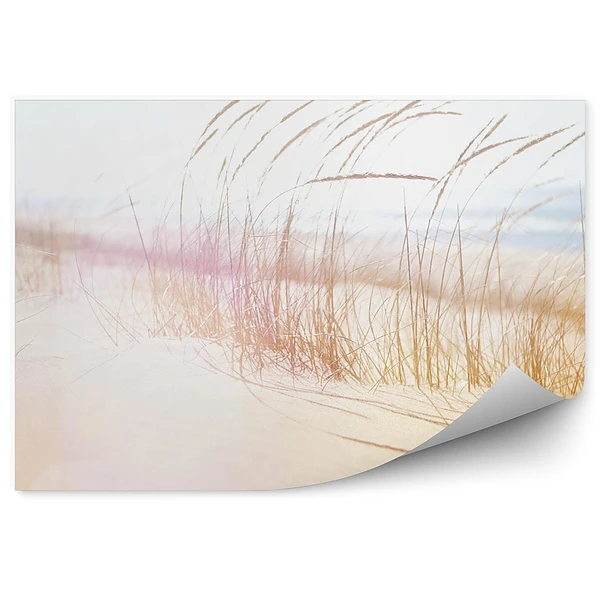 Fototapeta Plaża trawa ocean piasek