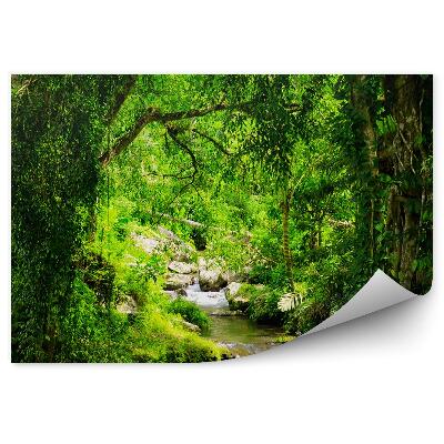 Okleina ścienna Wodospad drzewa las kamienie