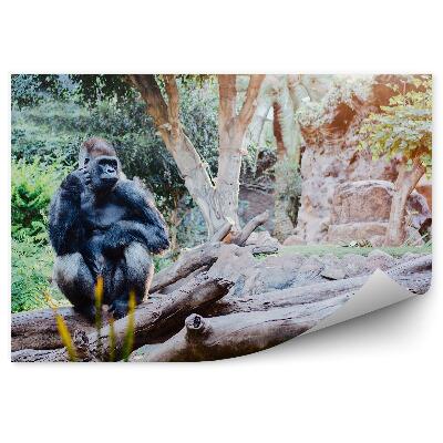 Okleina ścienna Goryl siedzący na pniu w dżungli
