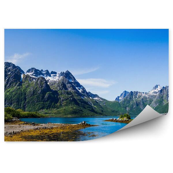 Fototapeta Panorama góry zima śnieg zieleń pies budynek jezioro