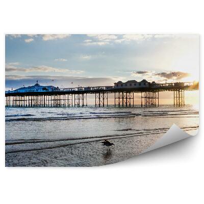 Fototapeta Brighton molo wesołe miasteczko ocean niebo chmury ptak