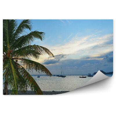 Fototapeta na ścianę plaża morze Karaibskie palmy leżak statki niebo chmury